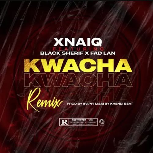 xnaiq – kwacha remix ft black sherif fad lan mp3 image Xnaiq – Kwacha Remix Ft Black Sherif Fad Lan mp3 image