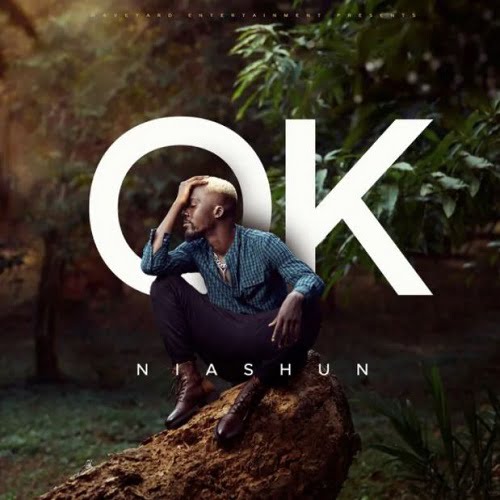 Niashun – OK mp3 image