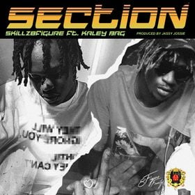 skillz 8figure section ft kaley bag halmblog com mp3 image Skillz 8Figure Section Ft Kaley Bag Halmblog com mp3 image