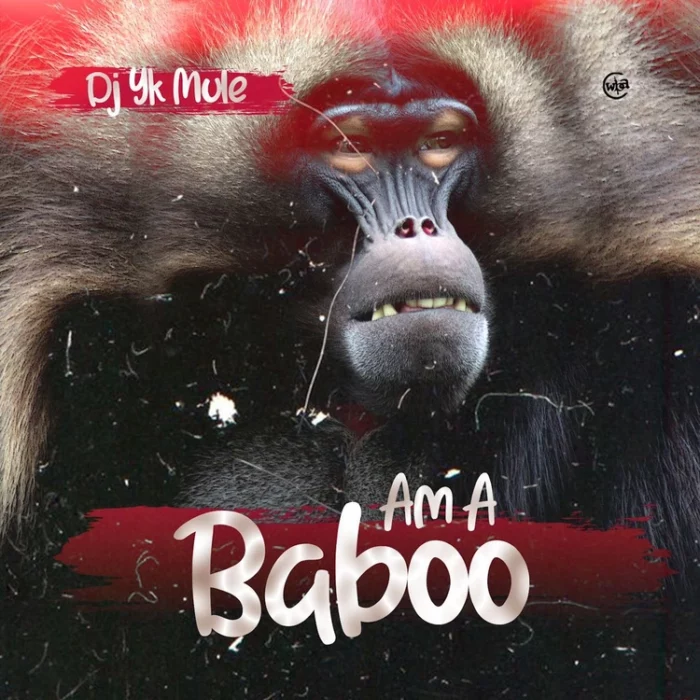 dj yk mule am a baboo