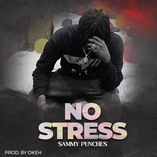 sammy punches – no stress aacehypez net mp3 image scaled.jpg