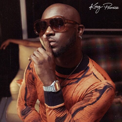 download mp3 king promise naana aacehypez net mp3 image scaled.jpg